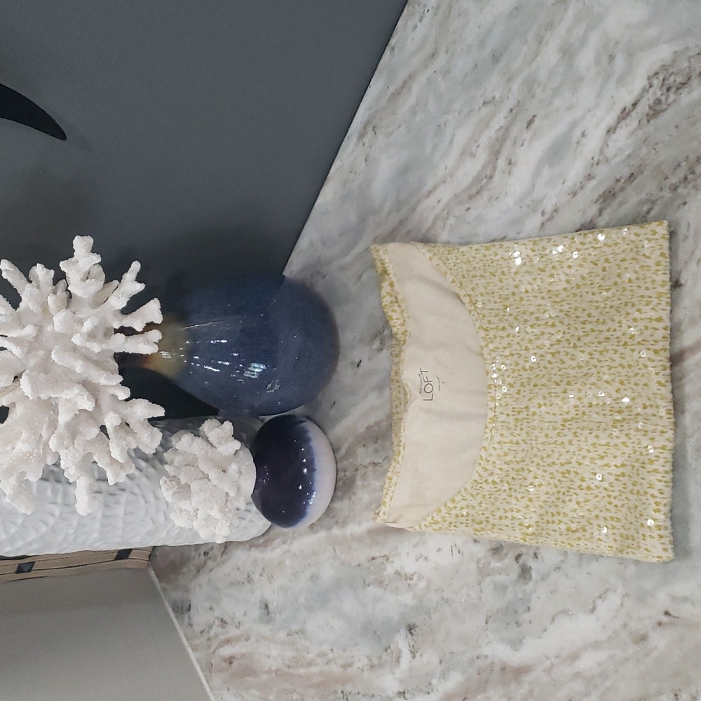 EUC LOFT Sequin Top